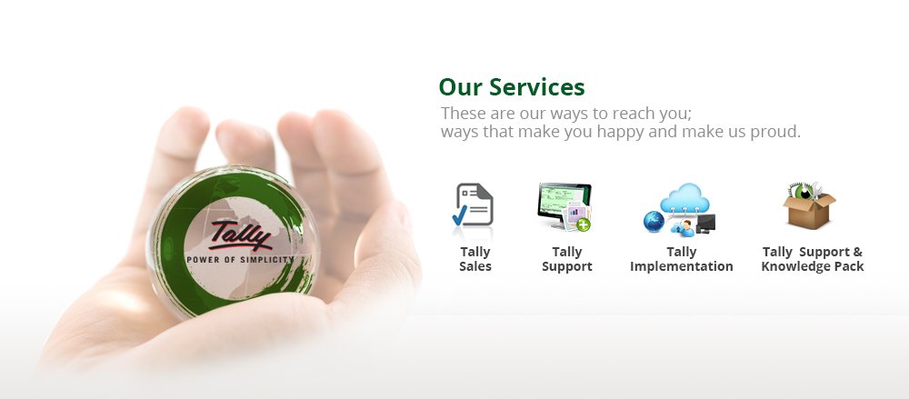 Our Tally Services